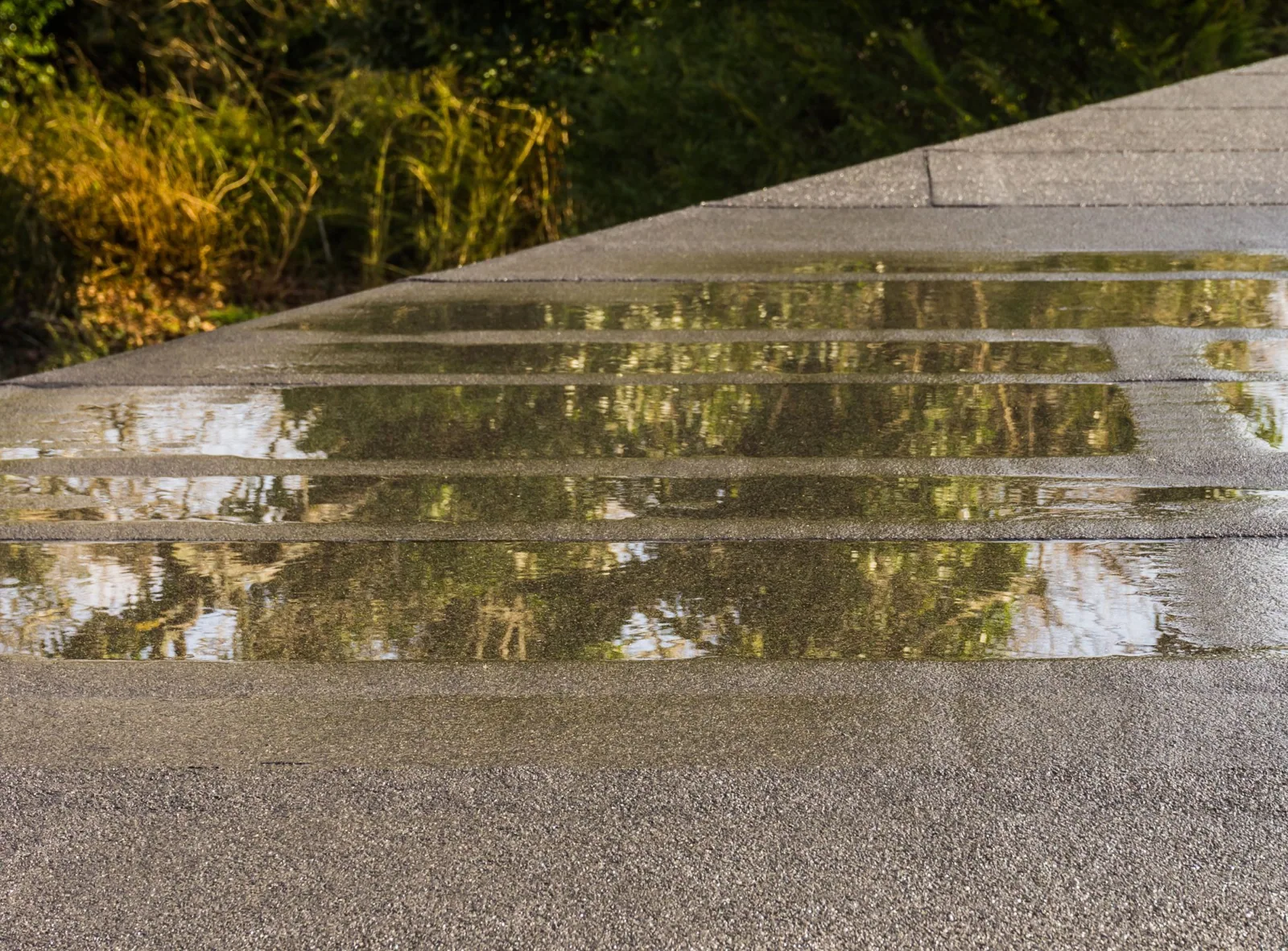 Ponding Water Roof Repair in Everett, WA