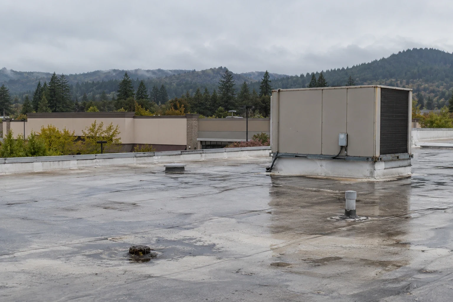 Grocery Store Roofing in Everett, WA