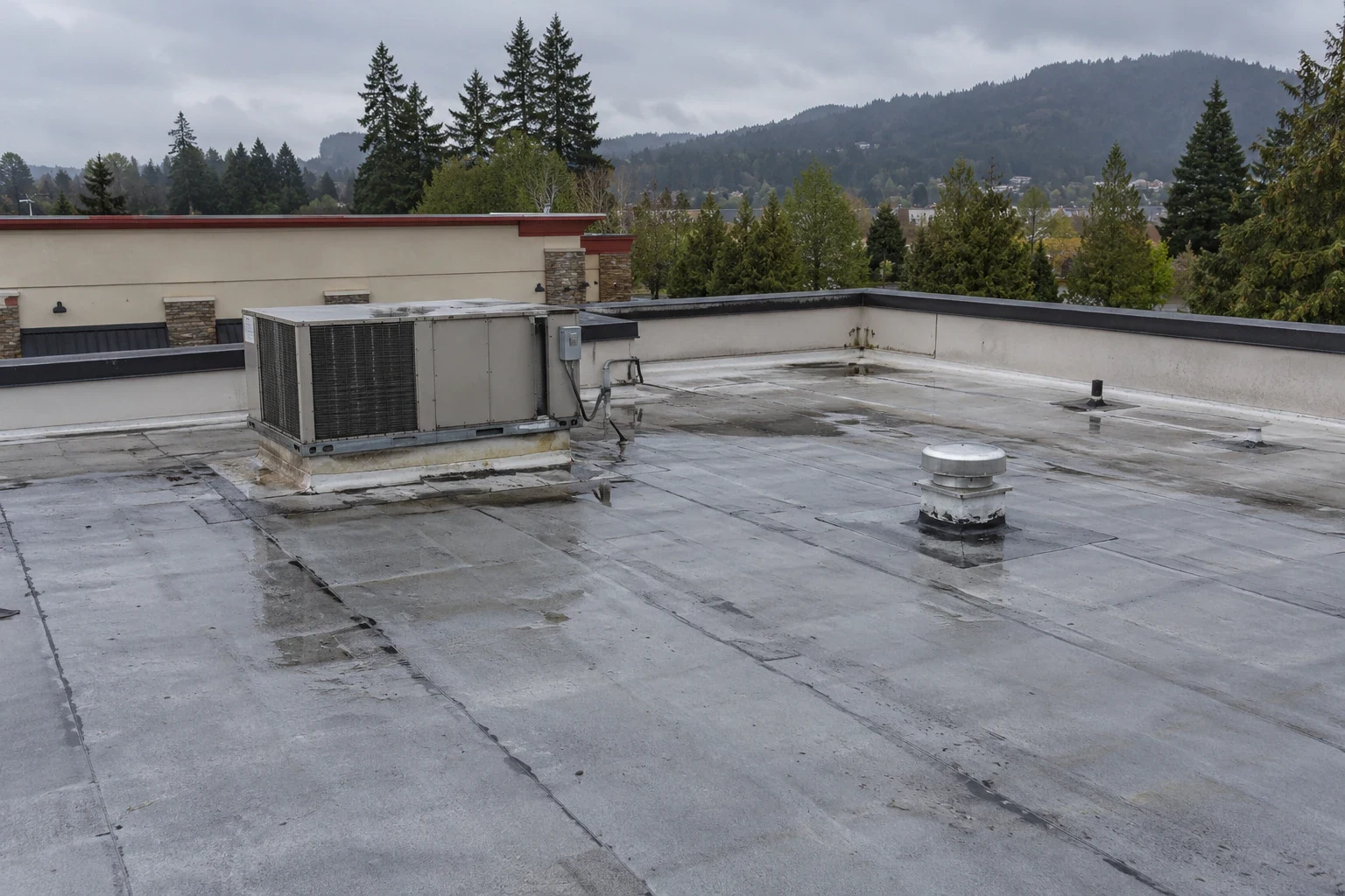 Restaurant Roofing in Everett, WA
