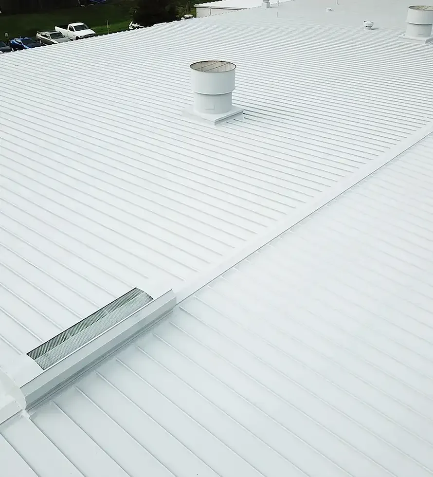 Silicone Roof Coatings in Everett, WA