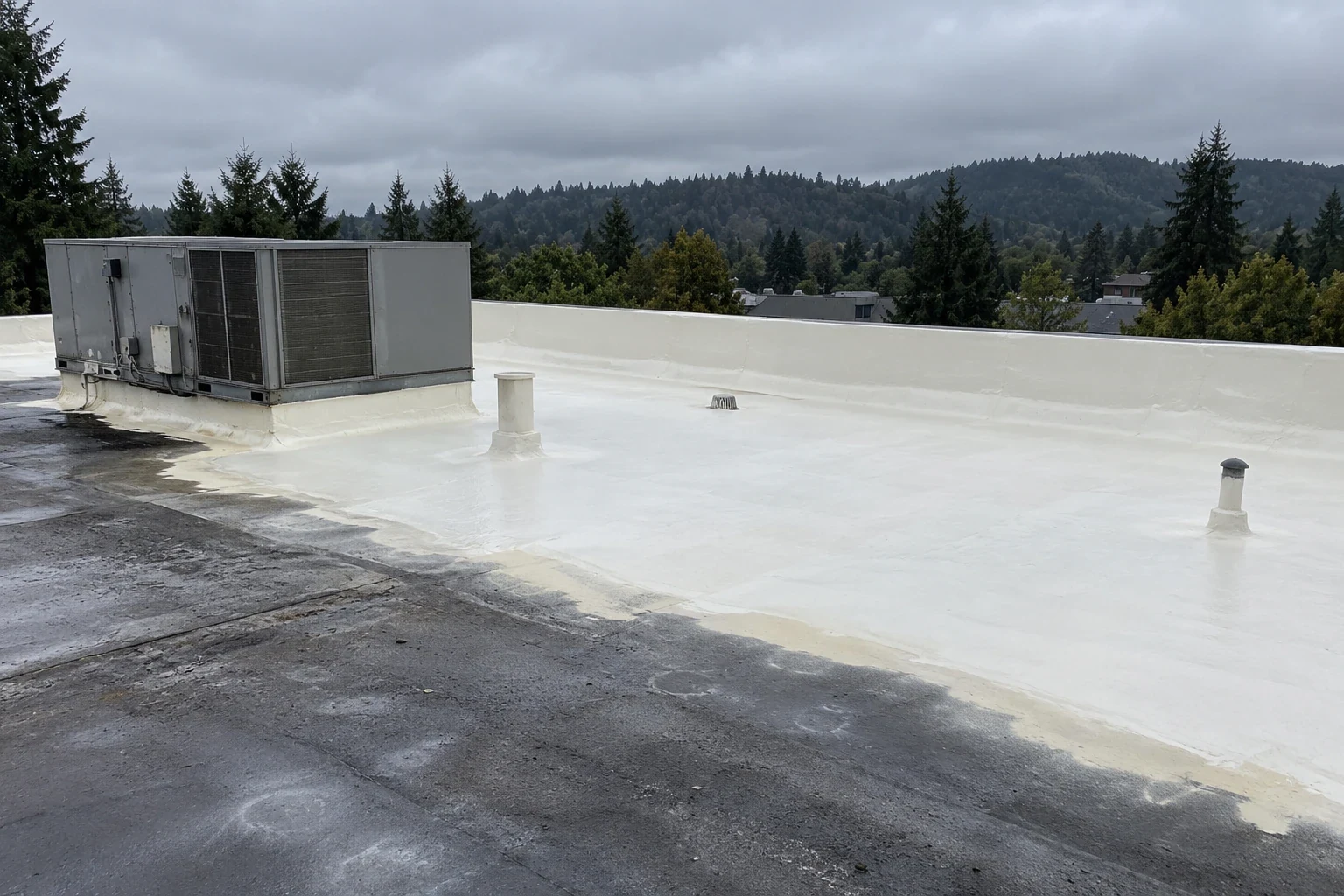 Spray Polyurethane Foam Roofing in Everett, WA