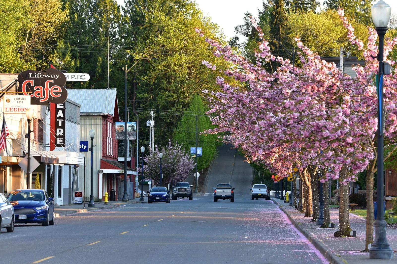 Commercial Roofing in Arlington, WA