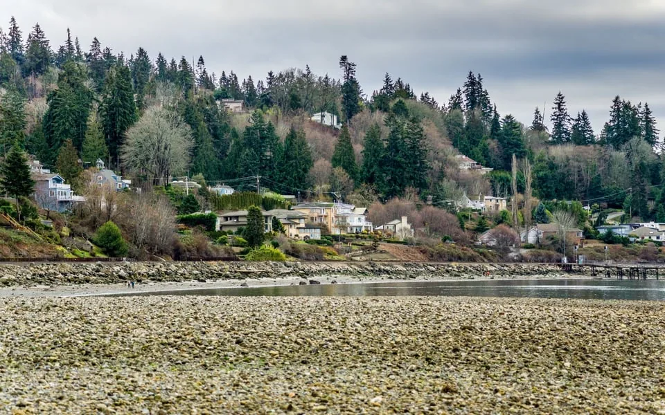 Commercial Roofing in Lynnwood, WA
