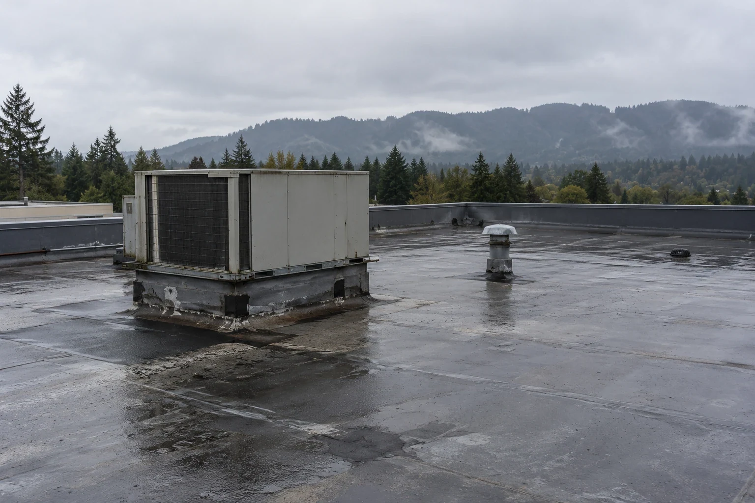 Commercial Roof Repair in Everett, WA