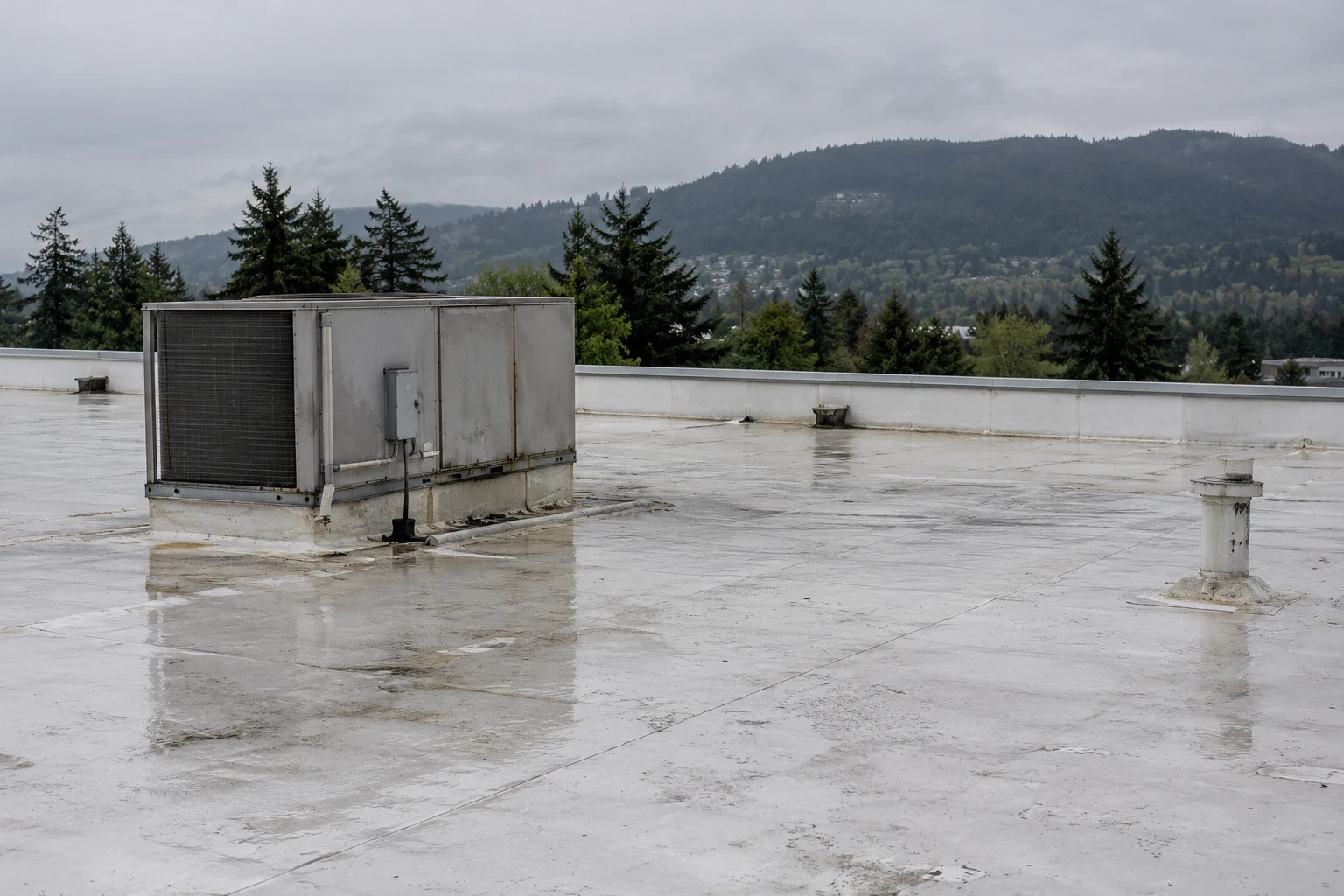 Cool Roof Installation in Everett, WA